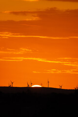 sunset behind the wind turbines in the Essaouira region in Morocco