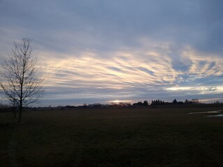 Fototapeta premium sunset over the field