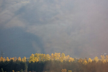 Paysage sous la brume