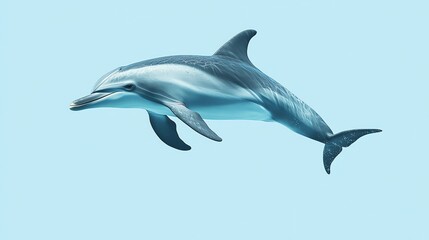 A dolphin leaps out of the water, against a light blue sky.