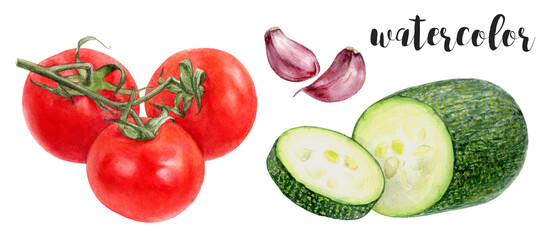 Hand Painted Watercolor Tomatoes Zucchini and Garlic Isolated on White