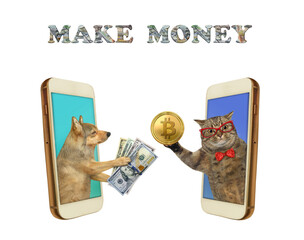 Dog buys bitcoins for dollars 2