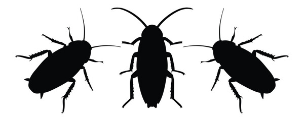 Cockroach vector silhouette illustration
