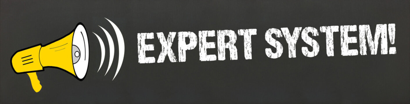 Expert System!