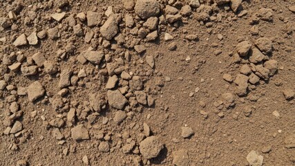 Close-up of rough and gritty dirt texture on the ground, soil, macro