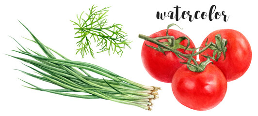 Hand Painted Watercolor Tomatoes Green Onion and Dill Isolated on White