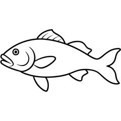 illustration of a fish