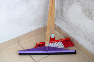 Cleaning supplies, brush and squeegee.