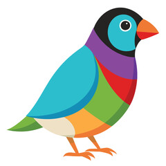 gouldian finch vector illustration