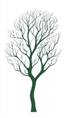 Obraz premium tree with roots