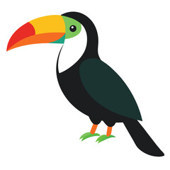Obraz premium toucans vector illustration 