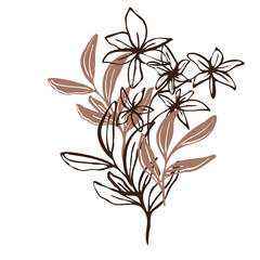 Modern botanical vector illustration featuring a minimalist bouquet of hand-drawn flowers and leaves outlined in mocha and brown, combining line art and silhouettes for a natural, organic aesthetic