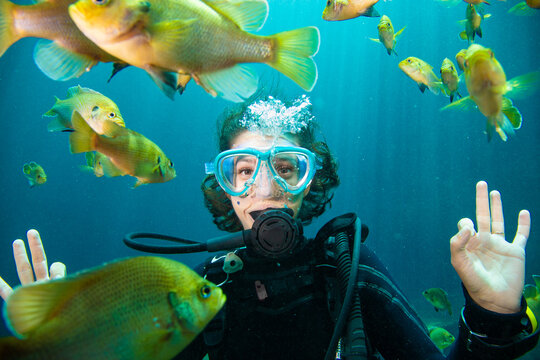 Close-up of a female scuba diver swimming with a school of bluegill fish, Blue Grotto, Williston, Florida, USA