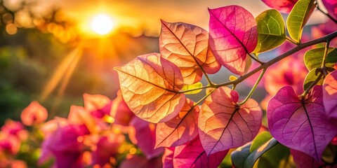 Bougainvillea Leaves Morning Sun: A Documentary Photography AI Image