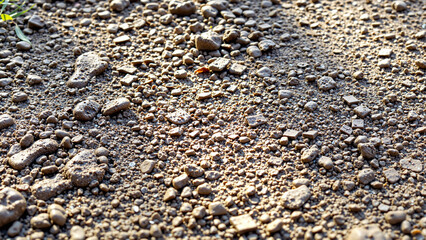 Close-up of a textured dirt surface with scattered pebbles and stones illuminated by sunlight