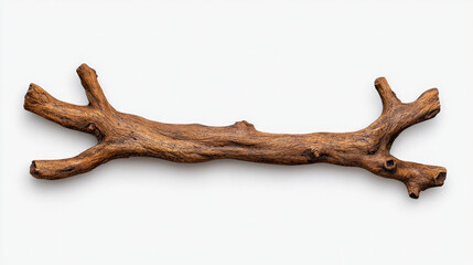 Obraz premium Rustic Wooden Branch: Natural, Dried, and Textured