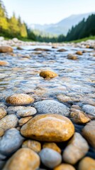 Tranquil River Landscape with Smooth Pebbles and Calm Water Flowing Through Lush Green Forested Mountains Under a Clear Blue Sky
