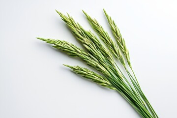 Fototapeta premium Isolated uncooked rice grains displayed on a clean white background