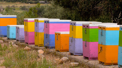 Row of colorful beehives in Greece.