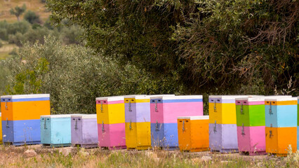 Row of colorful beehives in Greece.