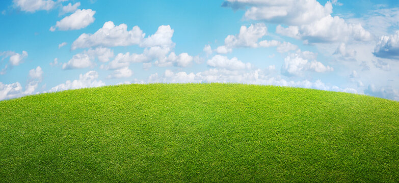 natural spring grass field background with cloudy sky