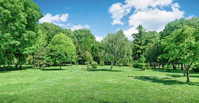 panorama of park and garden with grass on lawn and green trees in spring