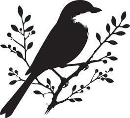 Fototapeta premium Southern grey shrike bird silhouettes Vector