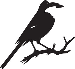 Southern grey shrike bird silhouettes Vector