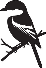 Southern grey shrike bird silhouettes Vector