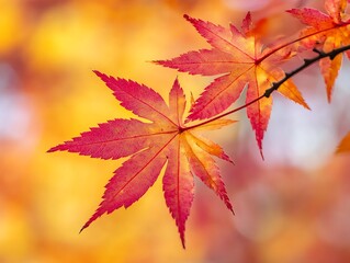 Vibrant Closeup of Red and Orange Autumn Leaves Displaying Fall Colors : Generative AI
