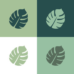 Monstera leaf icon logo vector leaves silhouette design background isolated