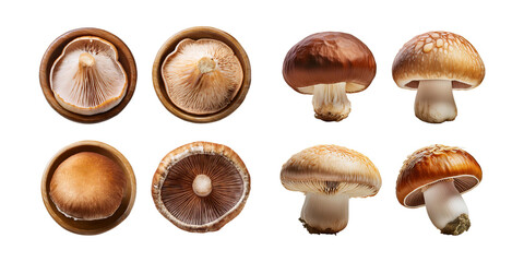 Fresh Mushrooms Variety on Wooden Plates, PNG collection, set bundle, isolate on transparent or white background