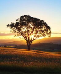Fototapeta premium Solitary tree standing in a golden field at sunset capturing the beauty of nature and serenity : Generative AI