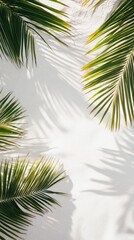 Obraz premium Tropical palm leaves on white beach surface nature scene vibrant environment aesthetic composition for relaxation