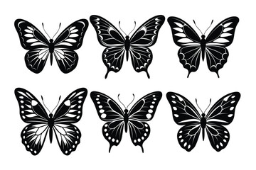 Collection of butterfly silhouette