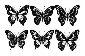 Obraz premium Collection of butterfly silhouette