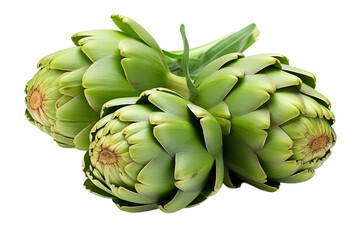Fototapeta premium Artichoke with tightly layered leaves, fresh from the garden. isolated on white background or png background or transparent background.