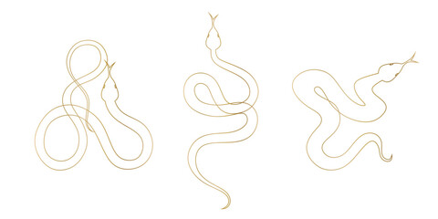Snake line vector art. Year of snake 2025 Chinese new year