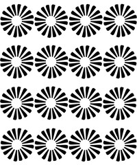 black and white flowers