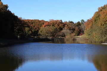 国営武蔵丘陵森林公園