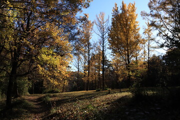 国営武蔵丘陵森林公園