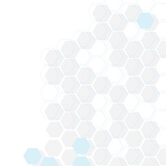 Abstract light color hexagon vector Honeycomb geometric background