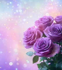 Beautiful Purple Roses Bouquet Soft Background
