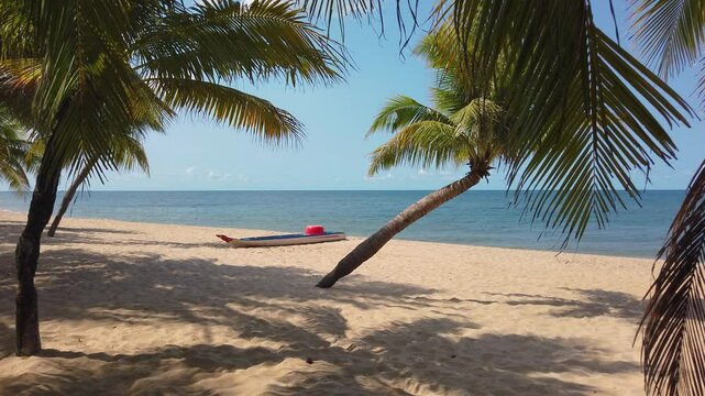 A small fishing boat on the sand of a deserted beach under a palm tree on a sunny day