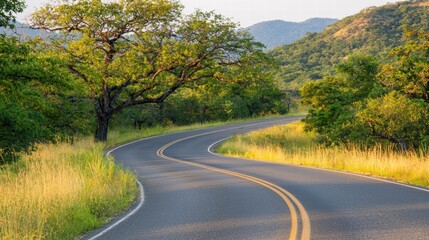 Fototapeta premium Serene Curved Road Surrounded by Lush Green Trees and Hills