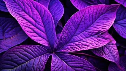 Vibrant purple leaves, Intricate leaf veins, Glowing neon foliage, Macro photography, Dark background, Bioluminescent plants, Ultraviolet flora, Alien botanical, Psychedelic nature, High contrast, Sat