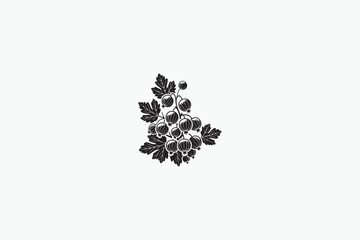 A Gooseberry Fruit vector silhouette Black and white image adobe illustrator..eps