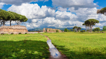 Obraz premium Ancient roman aqueduct beautiful arches ruins in Rome public park with pine trees