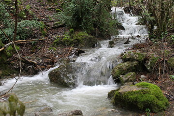 Paisajes Estacion de Canfranc - 2024 - 009