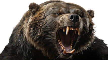 Majestic bear mid-roar, expressing authority and the untamed spirit of nature, isolated on...